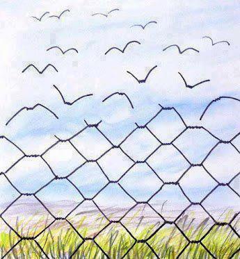 Freedom
